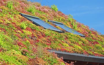 Dipton living roof systems