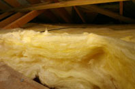 Dipton pitch roof insulation